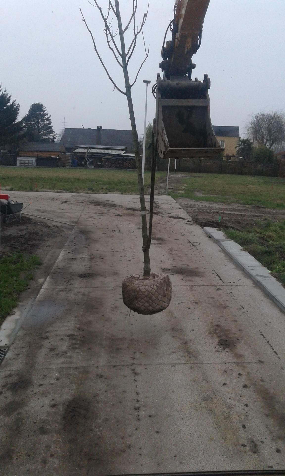 Jean pierre dewit en zoon grondwerken17 02 09 vvl boomplanten